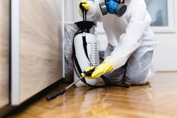 Flea Control Services in Kingsport, TN