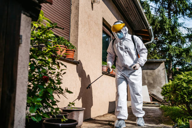 Best Termite Control Services  in Kingsport, TN