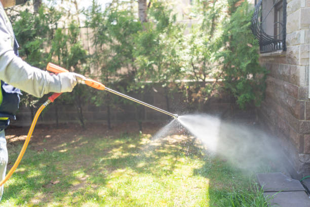 Best Pest Removal Services  in Kingsport, TN