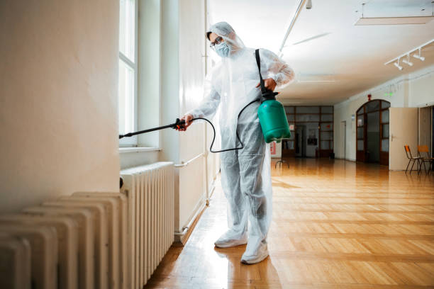 Professional Pest Control in Kingsport, TN